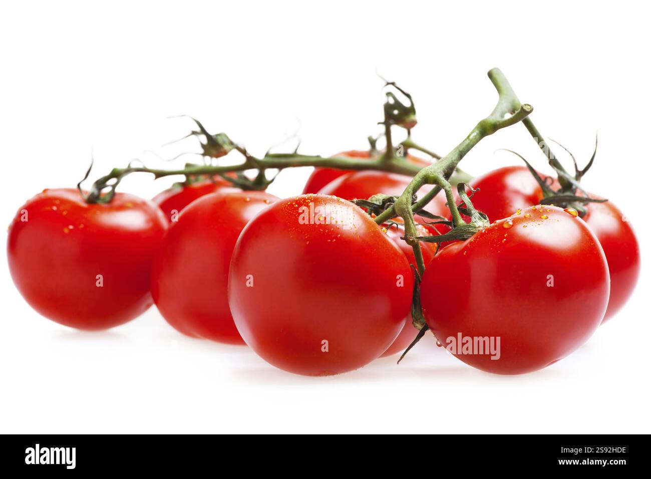 Clusters of cherry tomatoes on the white isolated background Stock ...