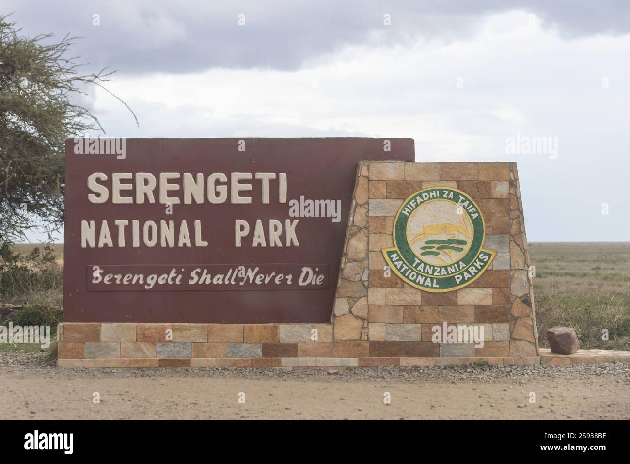 Serengeti, Tanzania - November 20, 2024: Wildlife Safari in Serengeti area of Tanzania Stock Photo