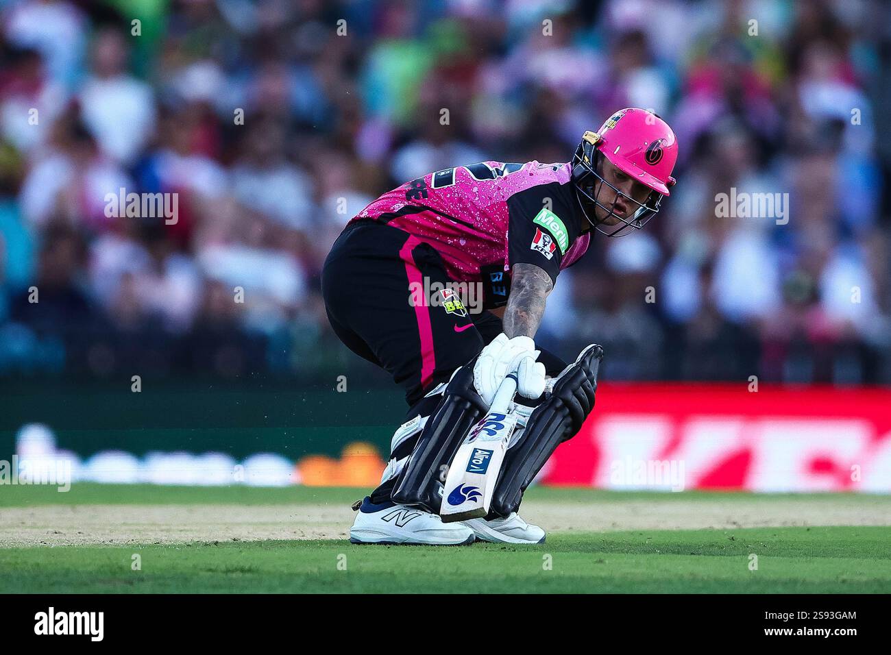 24th January 2025; Sydney Cricket Ground, Sydney, NSW, Australia Big Bash T20 League