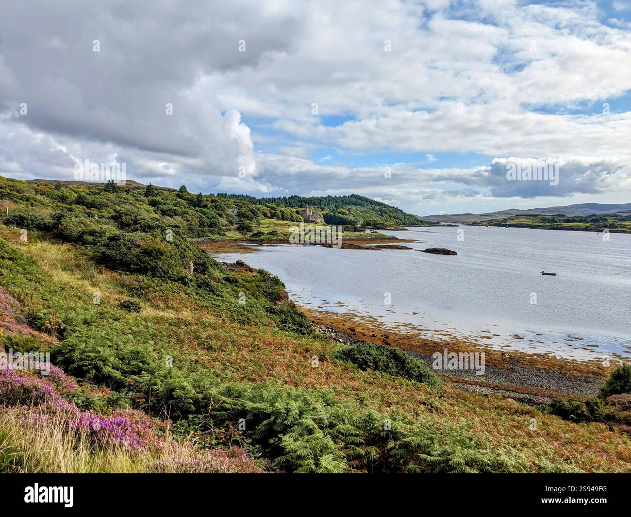 Isle of Skye Scotland Rugged Green Coastline Heather - Smartphone Captured Stock Image