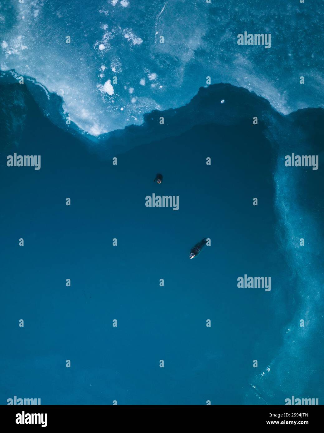 Aerial view of seals swimming in the icy waters of Jökulsárlón, South Iceland. Stock Photo
