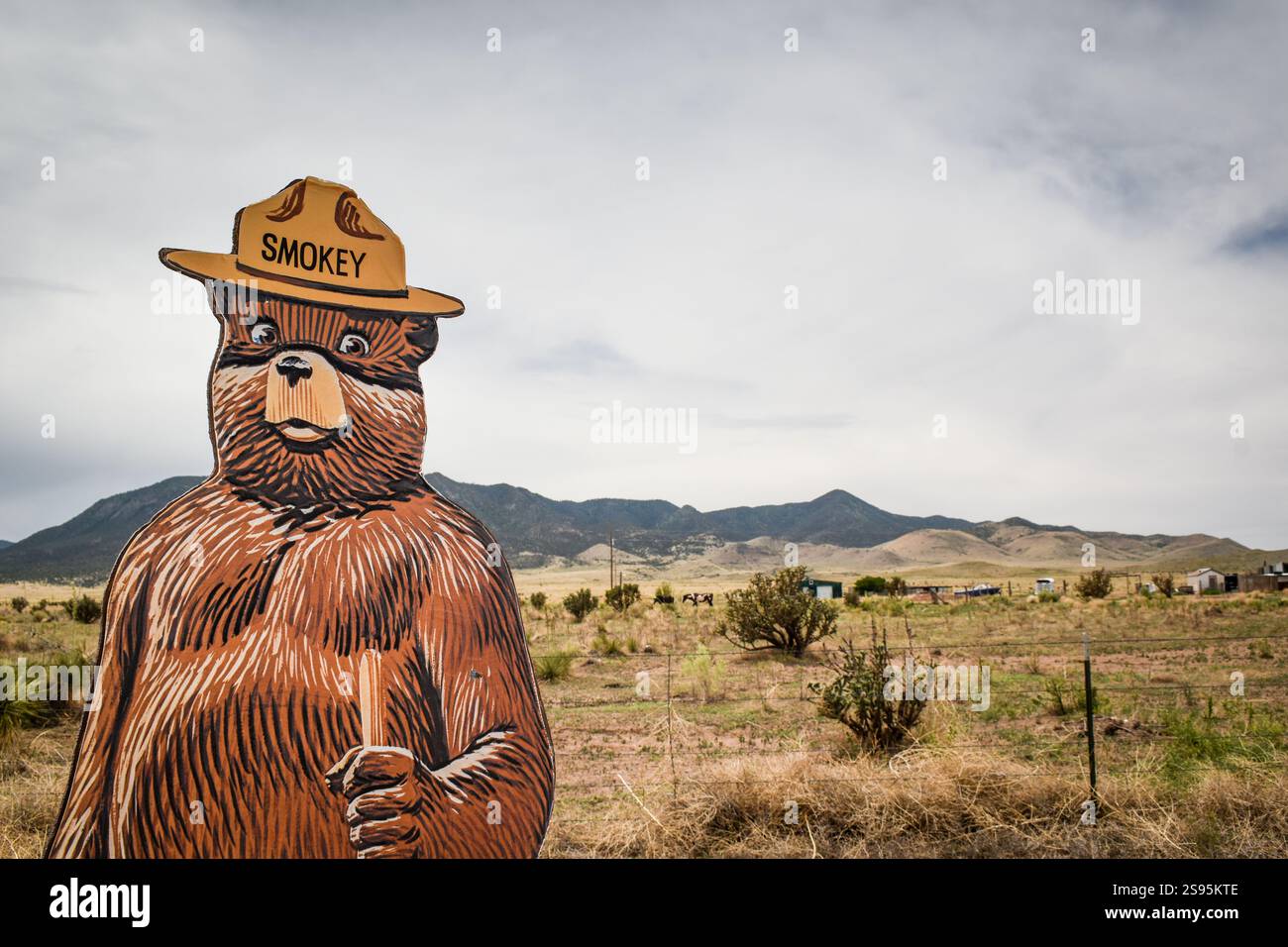 Smokey Bear standing on the edge of the Lincoln National Forest in New ...