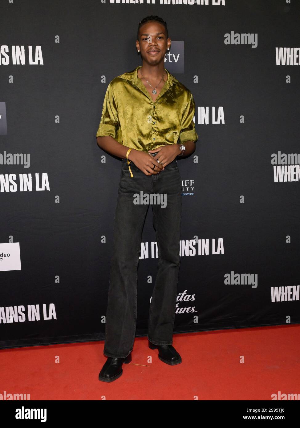 23 January 2025 Hollywood, California Z Peter. Los Angeles Premiere Of "When It Rains in LA