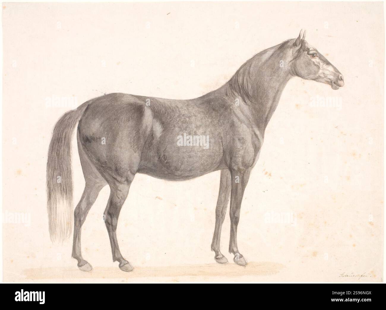 Christian David Gebauer, Sort hest Stock Photo - Alamy