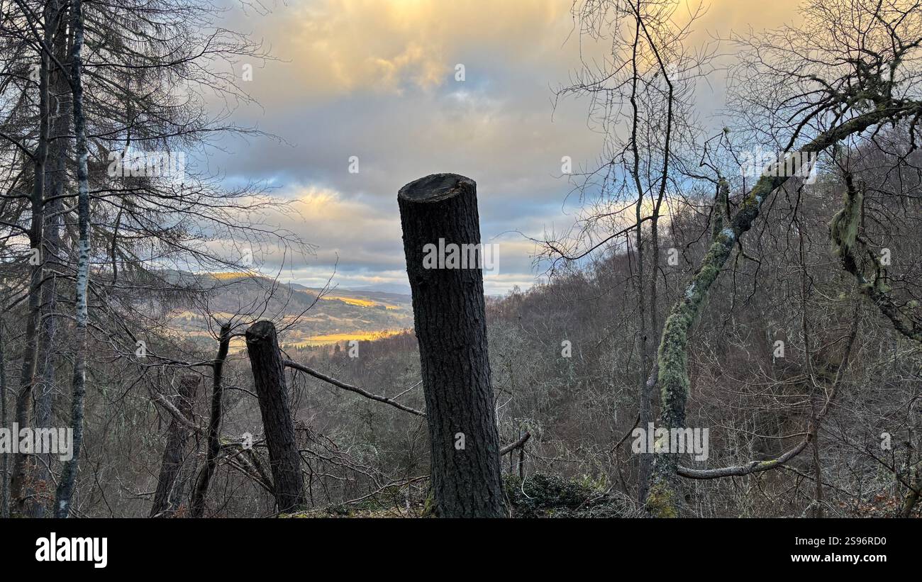 Sunset view across Perthshire in Scotland at the The Birks of Aberfeldy famous walk along the Moness Burn. Waterfall and ancient trees. Moss covered - Smartphone Captured Stock Image