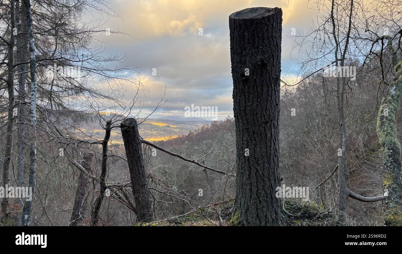 Sunset view across Perthshire in Scotland at the The Birks of Aberfeldy famous walk along the Moness Burn. Waterfall and ancient trees. Moss covered - Smartphone Captured Stock Image