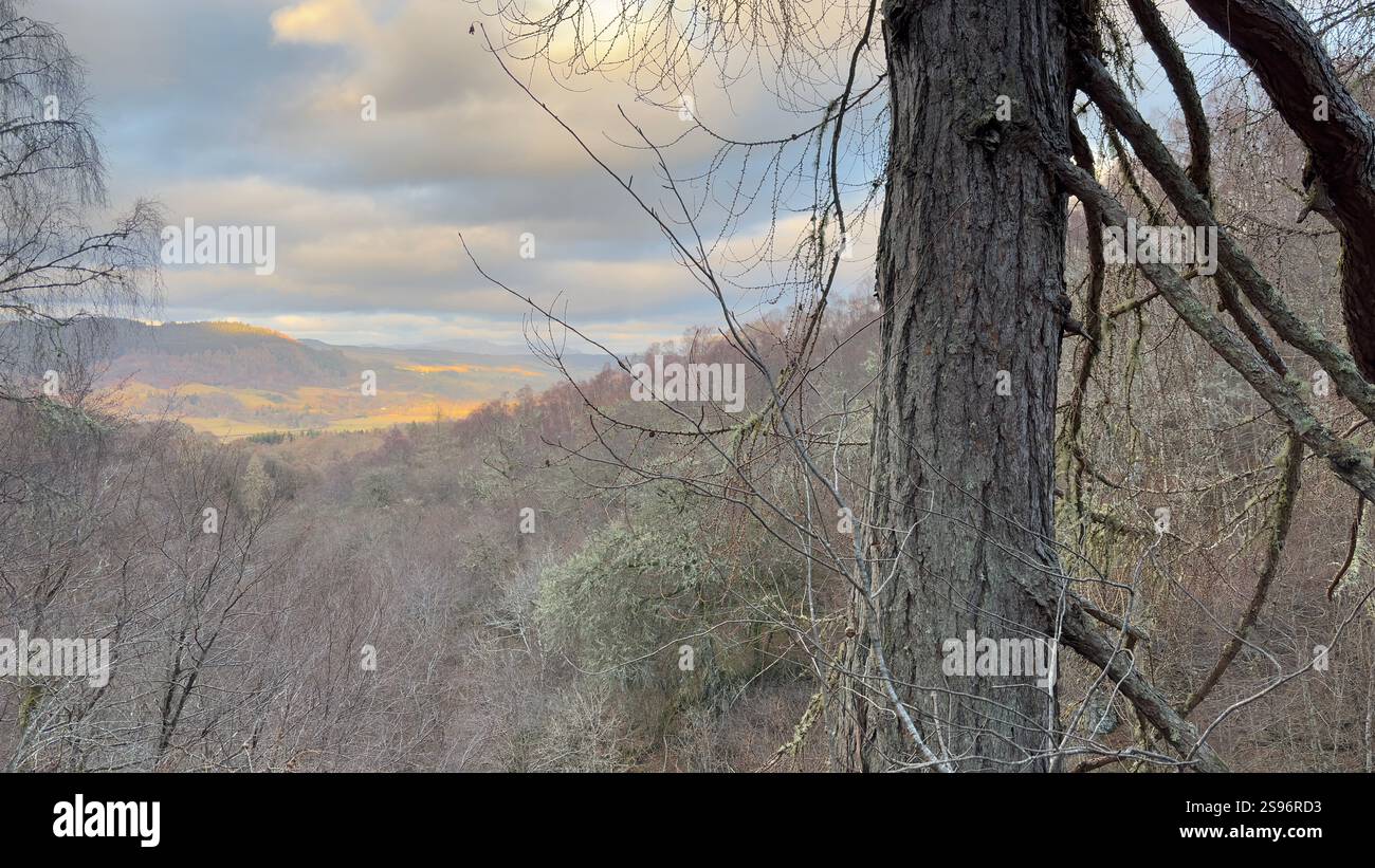 Sunset view across Perthshire in Scotland at the The Birks of Aberfeldy famous walk along the Moness Burn. Waterfall and ancient trees. Moss covered - Smartphone Captured Stock Image