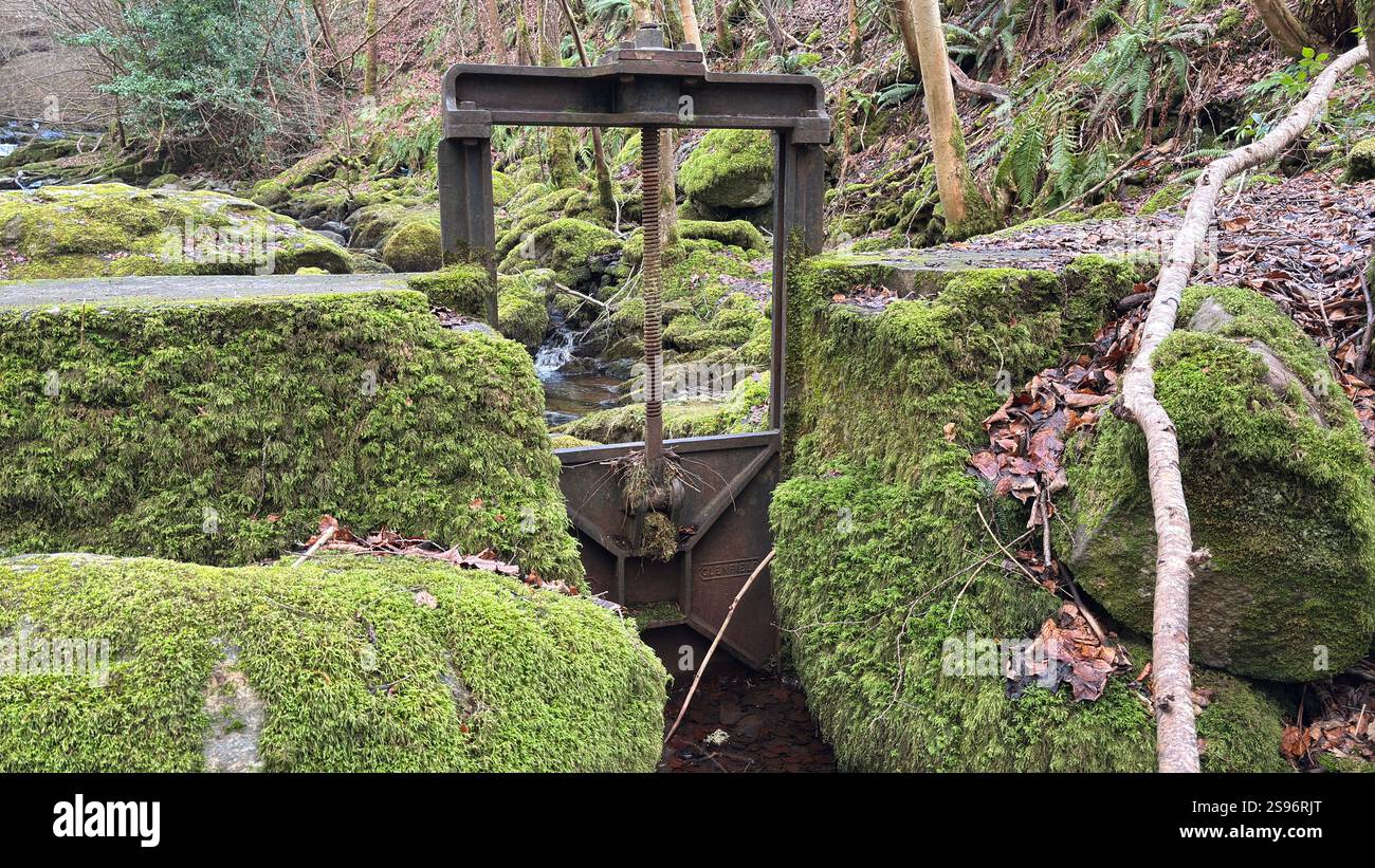 A rusty old sluice gate deep in the forest. Moss covered stones - Smartphone Captured Stock Image