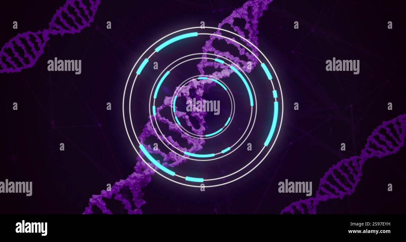 DNA strands and circular digital interface, scientific data processing image Stock Photo