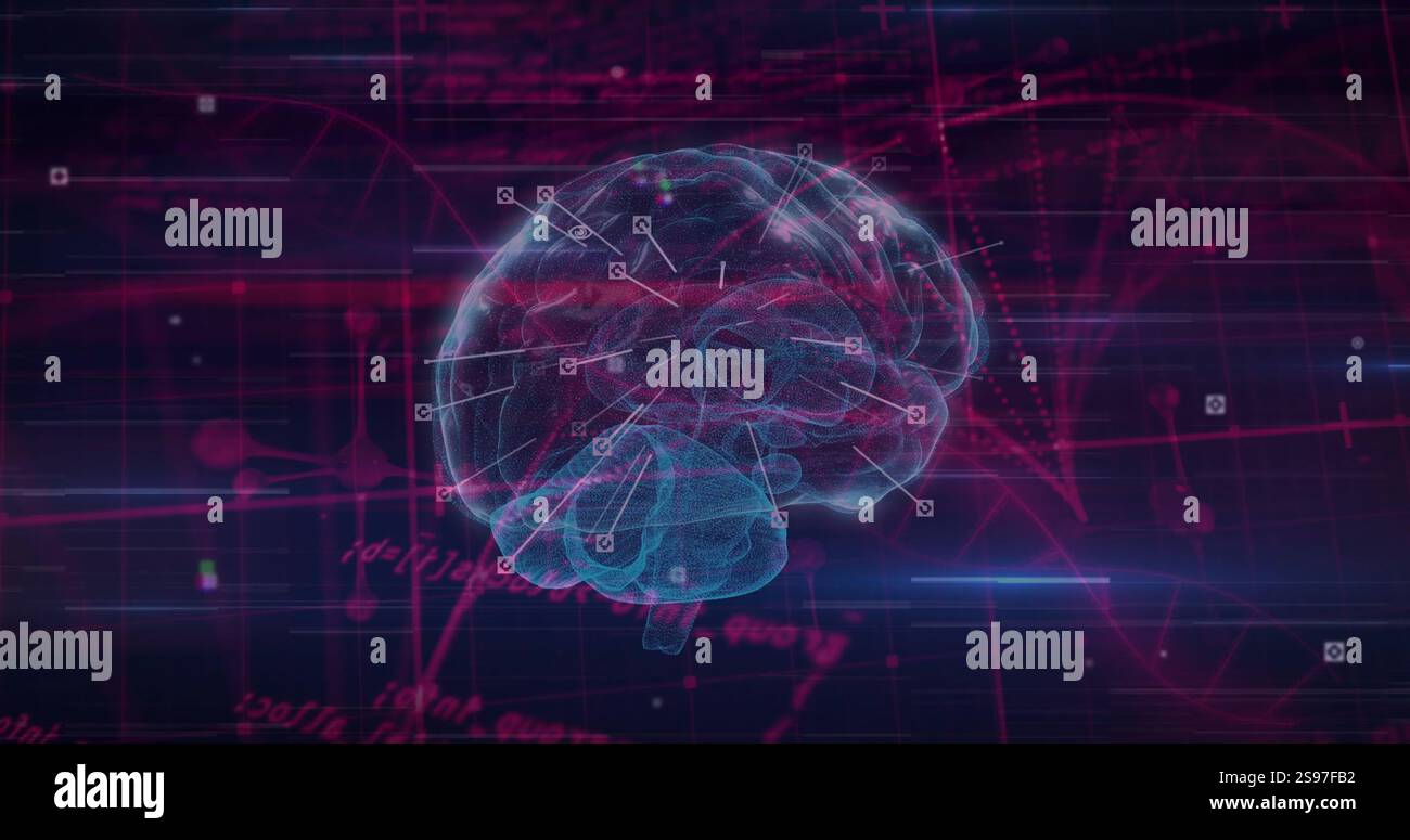 Image of data processing over dna strand and brain Stock Photo
