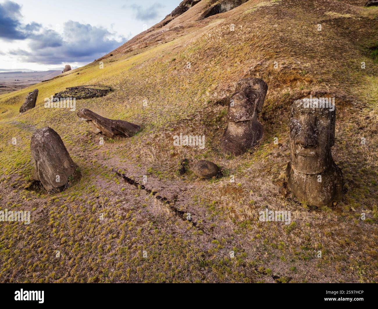 Rano Raraku Reeds Rano Raraku moais at Rapa Nui (Easter Island Stock Photo - Alamy