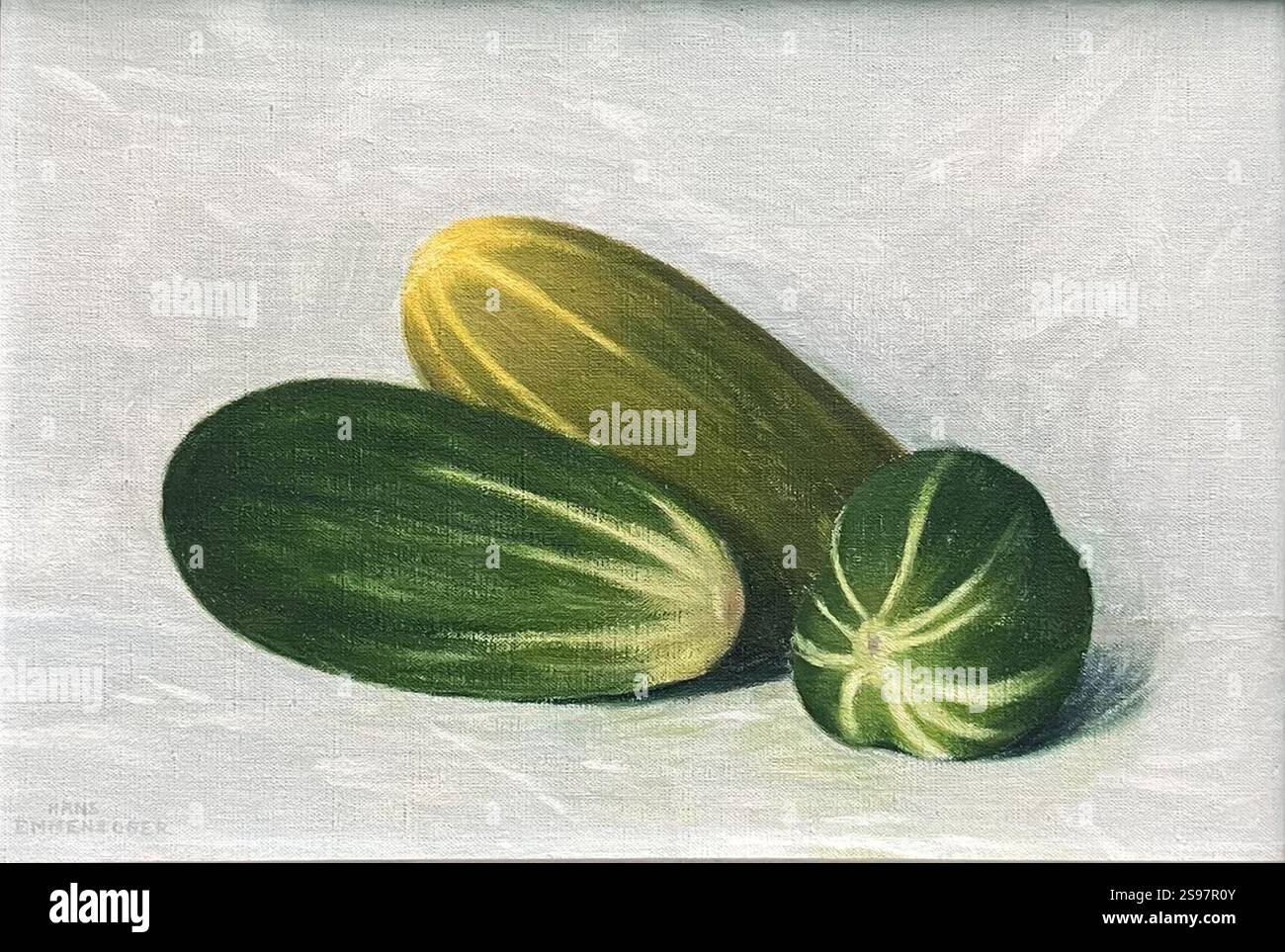 Gurken by Hans Emmenegger. Stock Photo