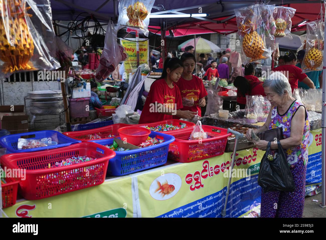 chinese new year horse