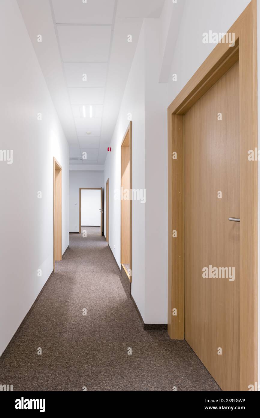 Empty Modern Hallway with Wooden Doors Stock Photo