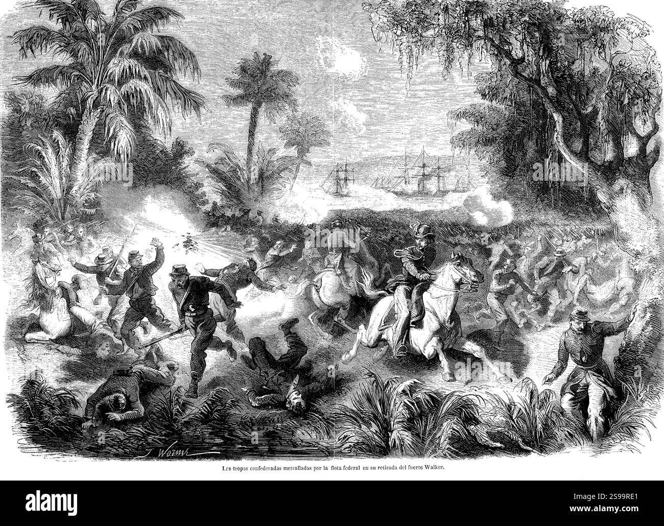 Estados Unidos. Guerra de secesión. Siglo XIX. Tropas confederadas ...