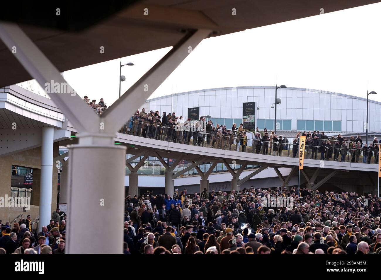Racegoers surrounding the parade ring during Festival Trials Day at