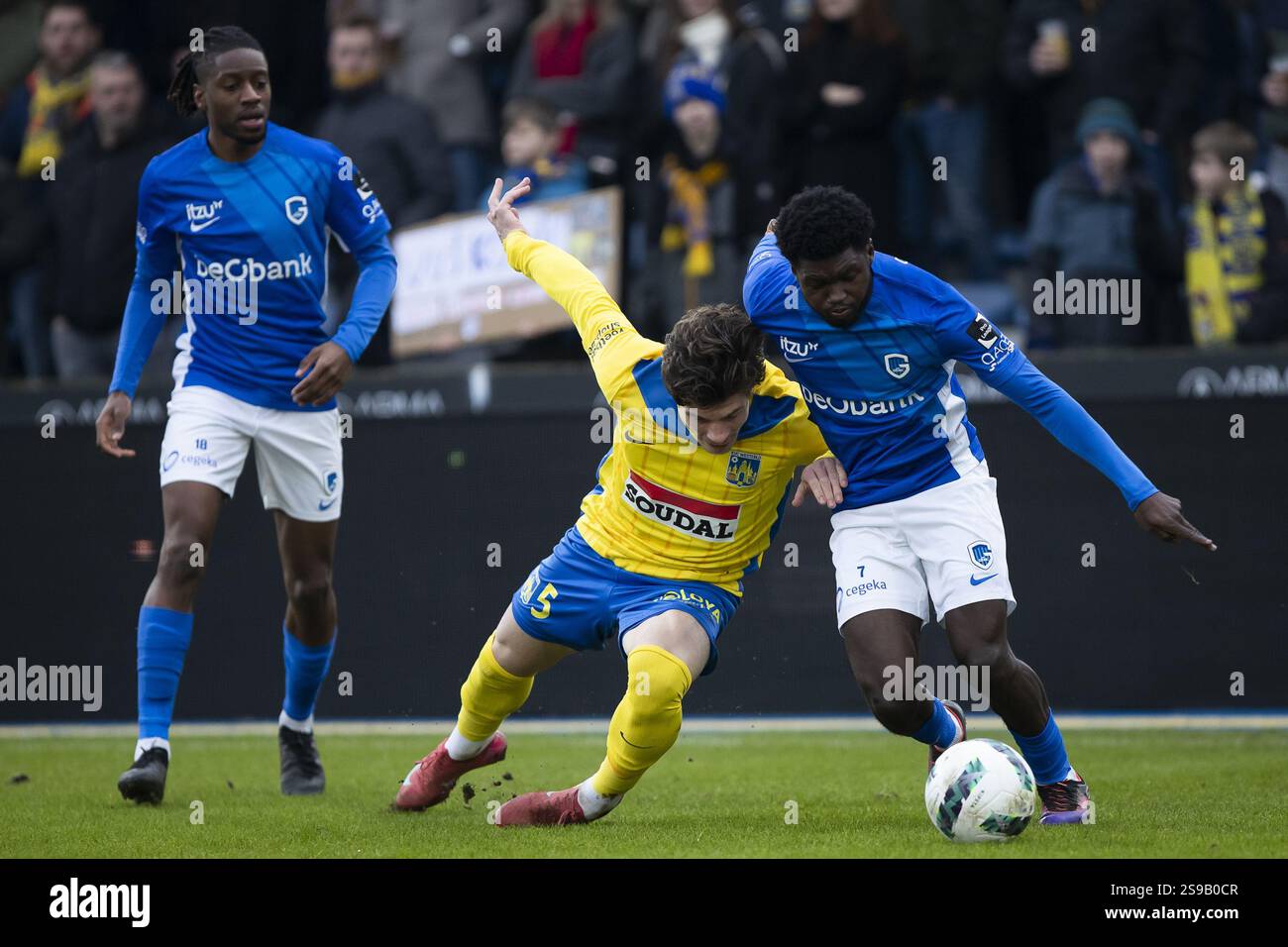Westerlo's Jordan Bos and Genk's Christopher Bonsu Baah pictured during a soccer match between KVC Westerlo and KRC Genk, Saturday 25 January 2025 in Westerlo, on day 23 of the 2024-2025 season of the 'Jupiler Pro League' first division of the Belgian championship. BELGA PHOTO KRISTOF VAN ACCOM Stock Photo