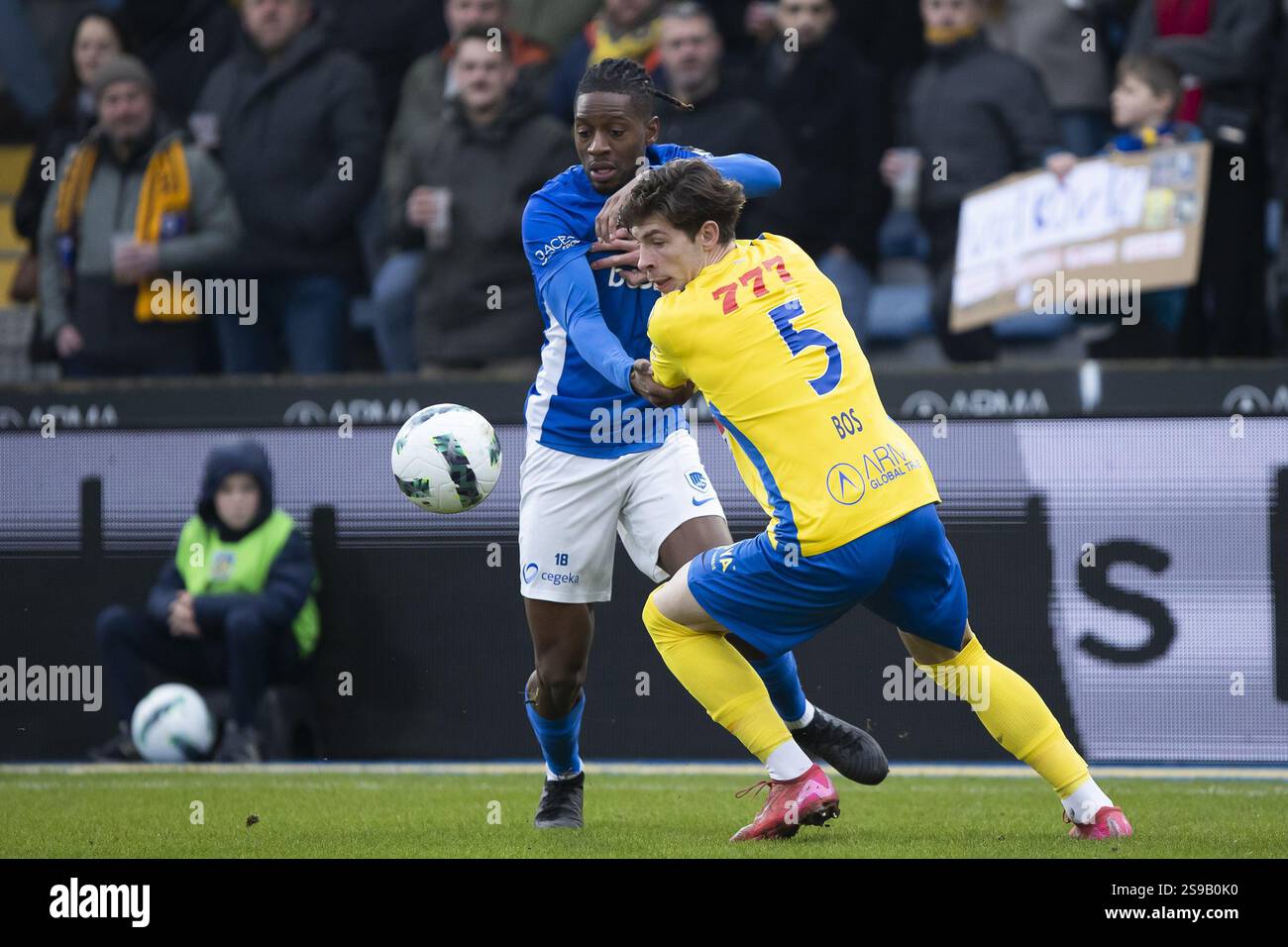 Genk's Joris Kayembe and Westerlo's Jordan Bos pictured during a soccer match between KVC Westerlo and KRC Genk, Saturday 25 January 2025 in Westerlo, on day 23 of the 2024-2025 season of the 'Jupiler Pro League' first division of the Belgian championship. BELGA PHOTO KRISTOF VAN ACCOM Stock Photo