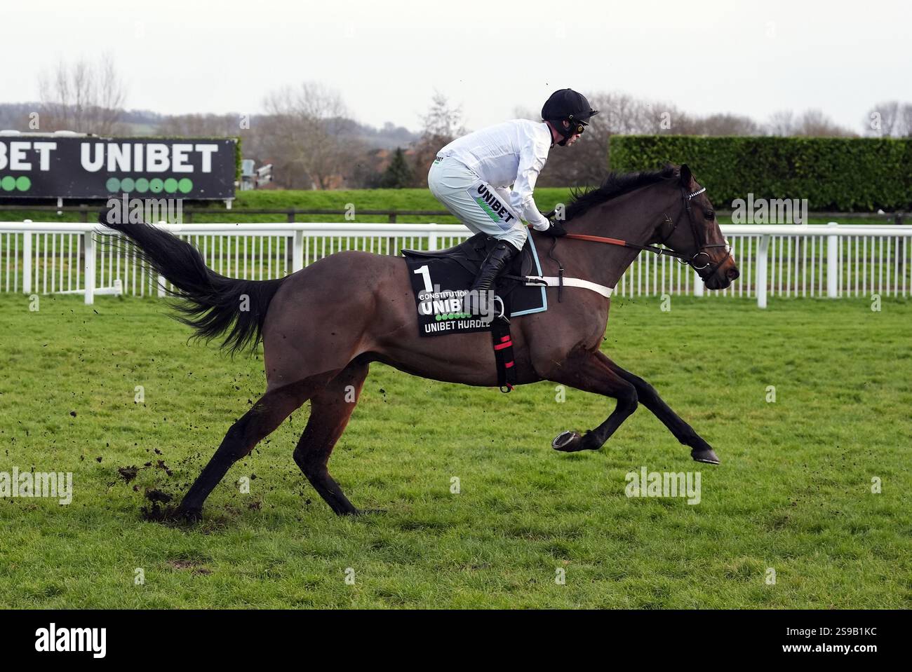 Constitution Hill ridden by jockey Nico de Boinville on their way to