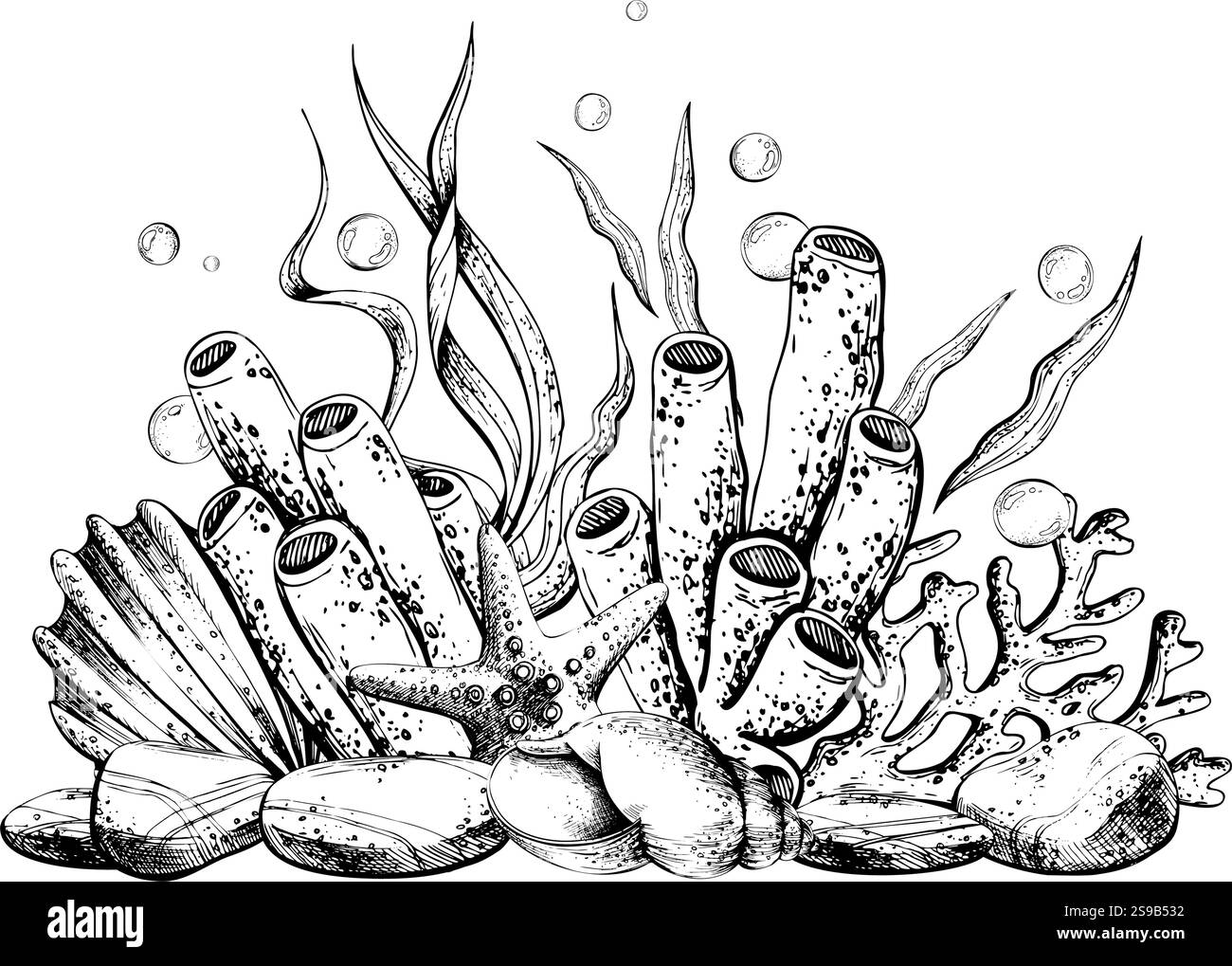 Seashell, starfish, sea sponge, algae, pebbles and bubbles. Hand drawn ...