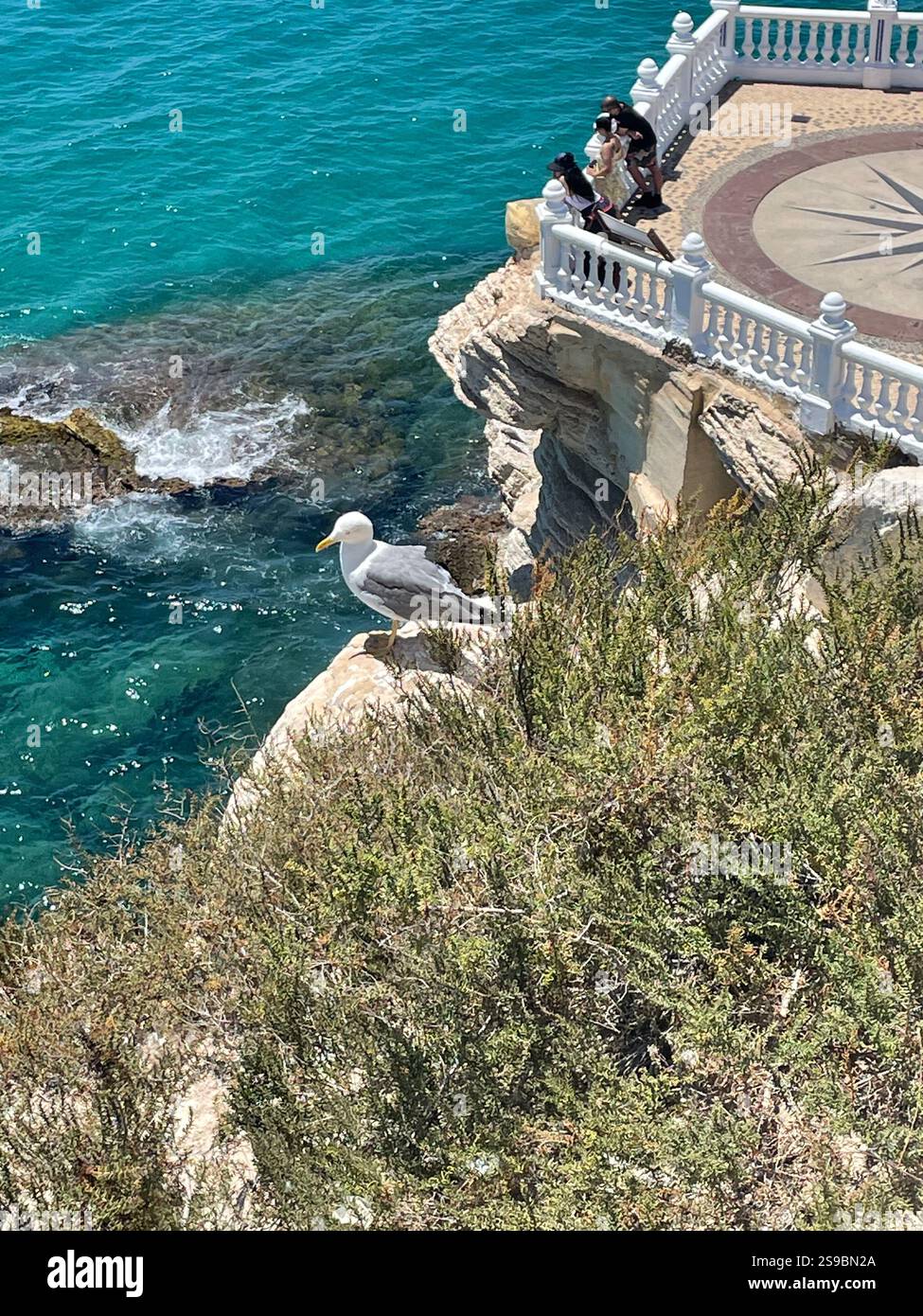 Culture and surroundings of Balcon del Mediterraneo in Benidorm - Smartphone Captured Stock Image