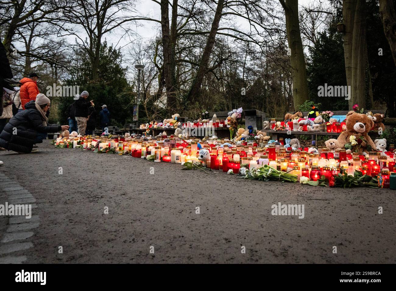 Aschaffenburg, Bavaria, Germany - January 25, 2025: In Schöntalpark in Aschaffenburg, people gather in silent mourning to commemorate the victims of the knife attack. Candles and flowers bear witness to sympathy, pain and solidarity in a deeply moved community *** Im Schöntalpark in Aschaffenburg versammeln sich Menschen in stiller Trauer, um der Opfer des Messerangriffs zu gedenken. Kerzen und Blumen zeugen von Anteilnahme, Schmerz und Solidarität in einer tief bewegten Gemeinschaft Stock Photo