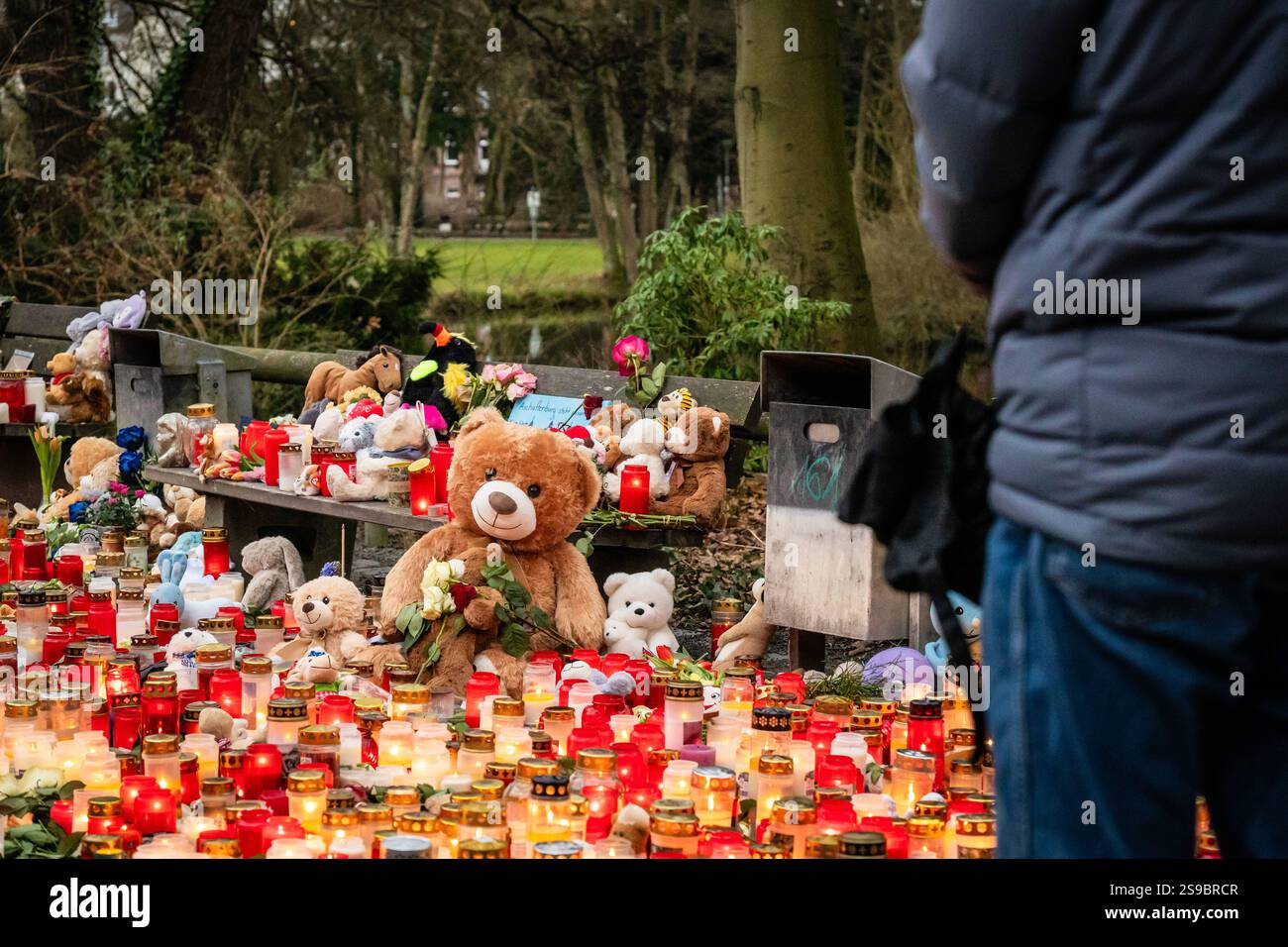 Aschaffenburg, Bavaria, Germany - January 25, 2025: In Schöntalpark in Aschaffenburg, people gather in silent mourning to commemorate the victims of the knife attack. Candles and flowers bear witness to sympathy, pain and solidarity in a deeply moved community *** Im Schöntalpark in Aschaffenburg versammeln sich Menschen in stiller Trauer, um der Opfer des Messerangriffs zu gedenken. Kerzen und Blumen zeugen von Anteilnahme, Schmerz und Solidarität in einer tief bewegten Gemeinschaft Stock Photo