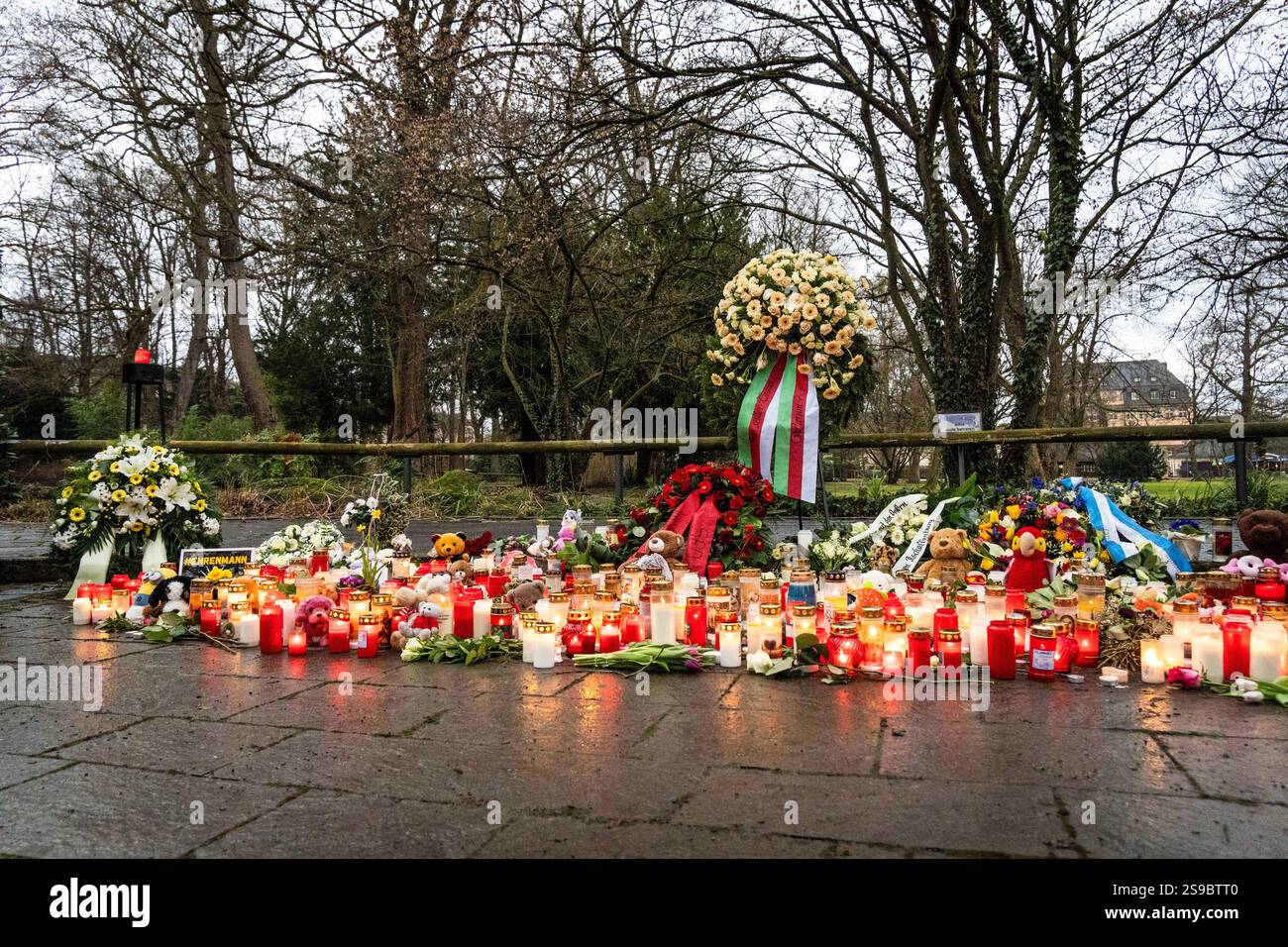 Aschaffenburg, Bavaria, Germany - January 25, 2025:In Schöntalpark in Aschaffenburg, there are wreaths of mourning surrounded by candles, cuddly toys and flowers. The site has become a symbol of the community s sympathy and pain following the tragic knife attack *** Im Schöntalpark in Aschaffenburg stehen Trauerkränze umgeben von Kerzen, Kuscheltieren und Blumen. Der Ort wurde zum Symbol für die Anteilnahme und den Schmerz der Gemeinschaft nach dem tragischen Messerangriff Stock Photo