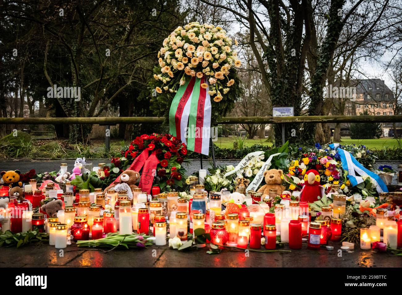 Aschaffenburg, Bavaria, Germany - January 25, 2025:In Schöntalpark in Aschaffenburg, there are wreaths of mourning surrounded by candles, cuddly toys and flowers. The site has become a symbol of the community s sympathy and pain following the tragic knife attack *** Im Schöntalpark in Aschaffenburg stehen Trauerkränze umgeben von Kerzen, Kuscheltieren und Blumen. Der Ort wurde zum Symbol für die Anteilnahme und den Schmerz der Gemeinschaft nach dem tragischen Messerangriff Stock Photo