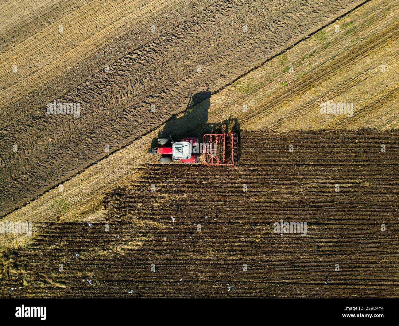 Aerial view of a harvester on a wheat field at sunset, The Netherlands ...