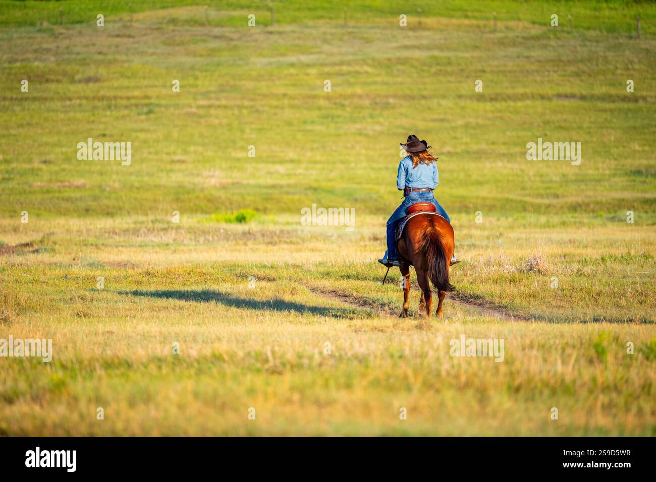 Cowgirl getting ready for the day at a Dude Ranch in Montana Stock ...
