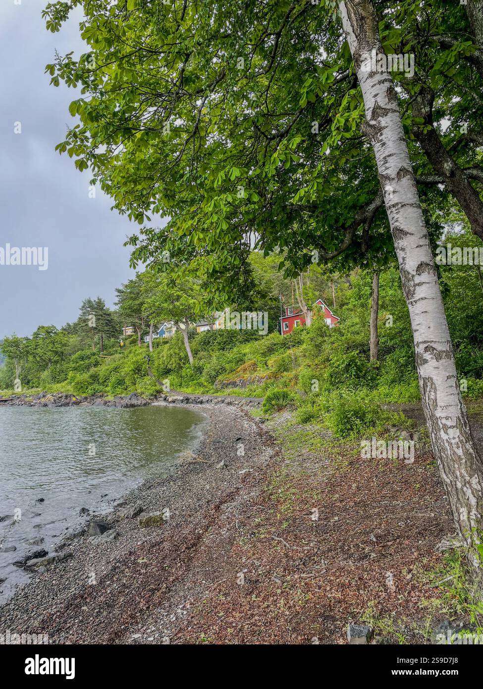Traditional cottages on the tranquil islands of the Oslofjord, Norway, offering a peaceful summer retreat amidst scenic natural beauty. - Smartphone Captured Stock Image