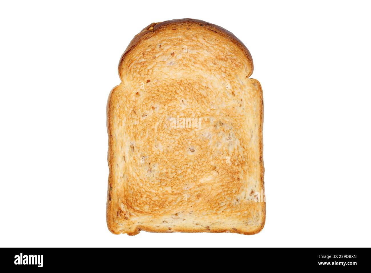 A slice of toasted bread isolated on white background Stock Photo - Alamy