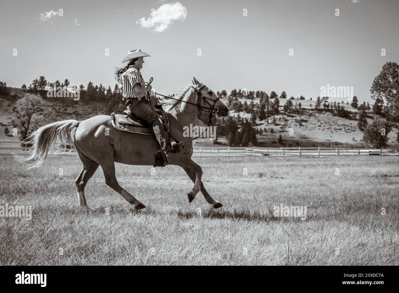 Cowgirl getting ready for the day at a Dude Ranch in Montana Stock ...