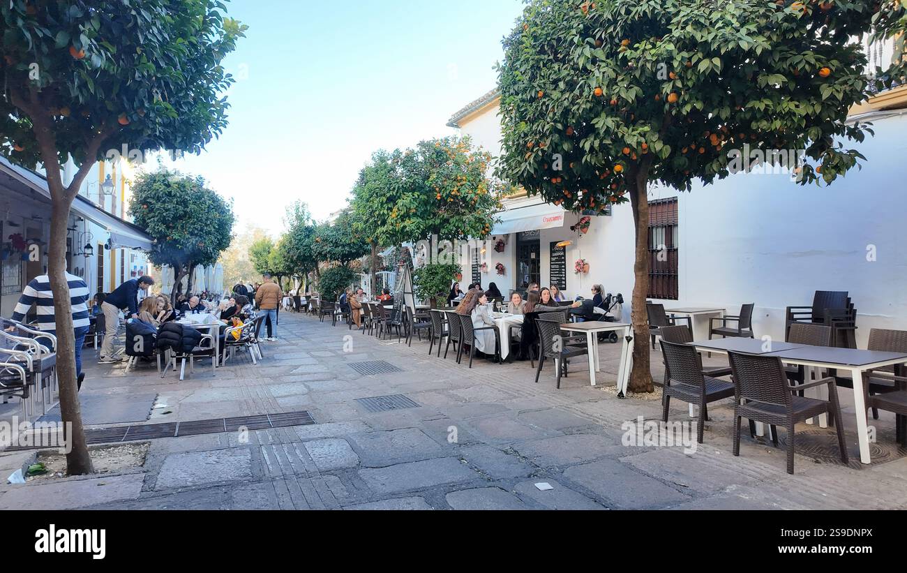 An outdoor patio café in Córdoba, Spain, is surrounded by orange trees and white buildings. With only a few people present, the winter off-season brin Stock Photo