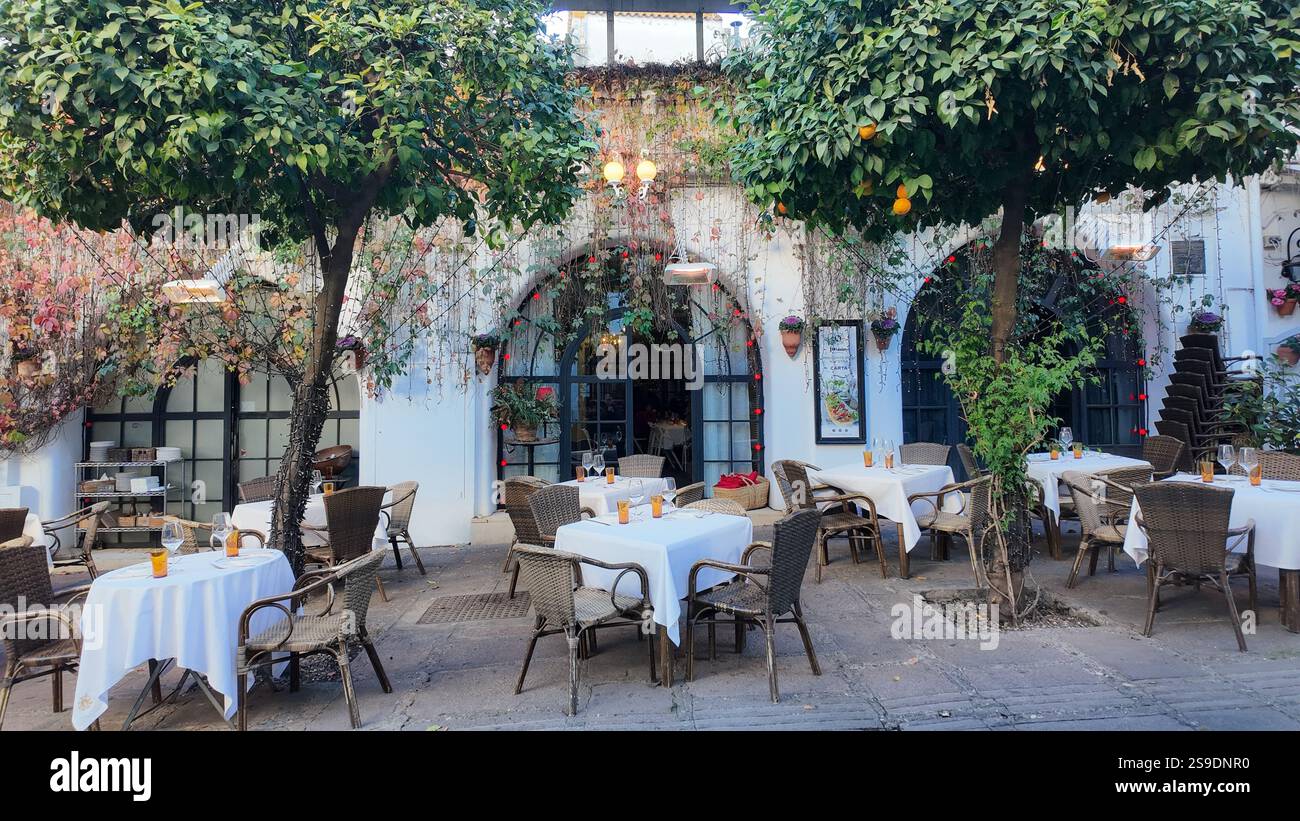 An outdoor patio café in Córdoba, Spain, is surrounded by orange trees and white buildings. With only a few people present, the winter off-season brin Stock Photo