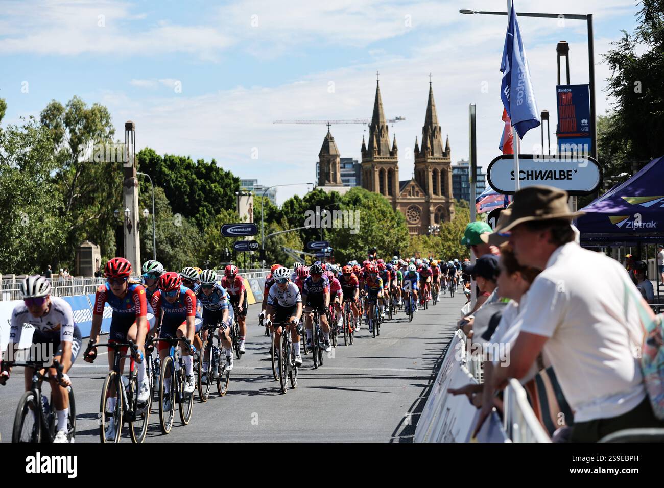 The Peloton makes its way around the Adelaide circuit during the Santos