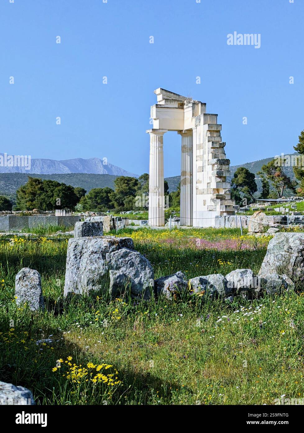 Ruins of the Sanctuary of Asklepios, where ancient healing met timeless beauty, surrounded by nature and history in serene harmony. - Smartphone Captured Stock Image