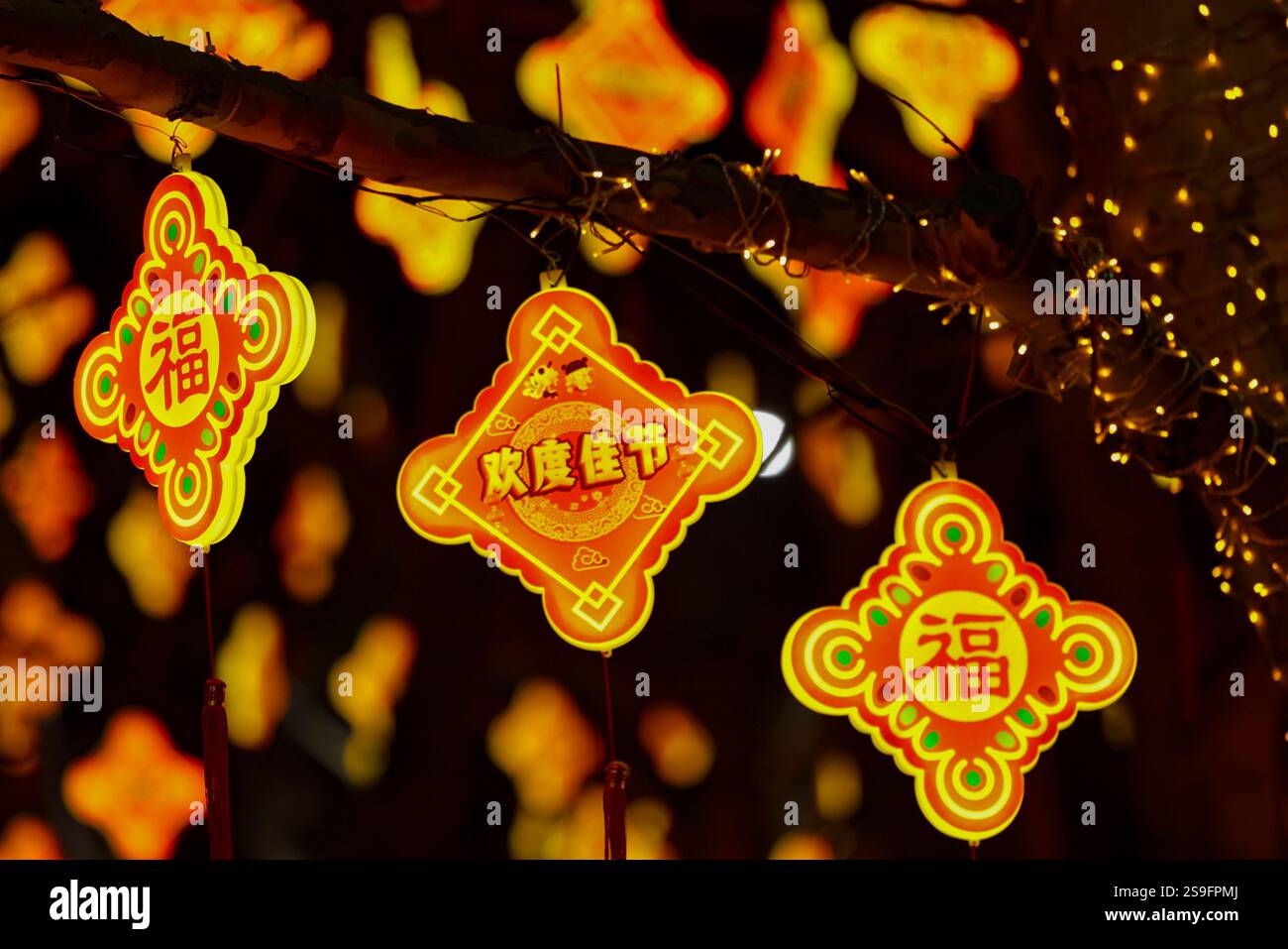 where do people celebrate chinese new year
