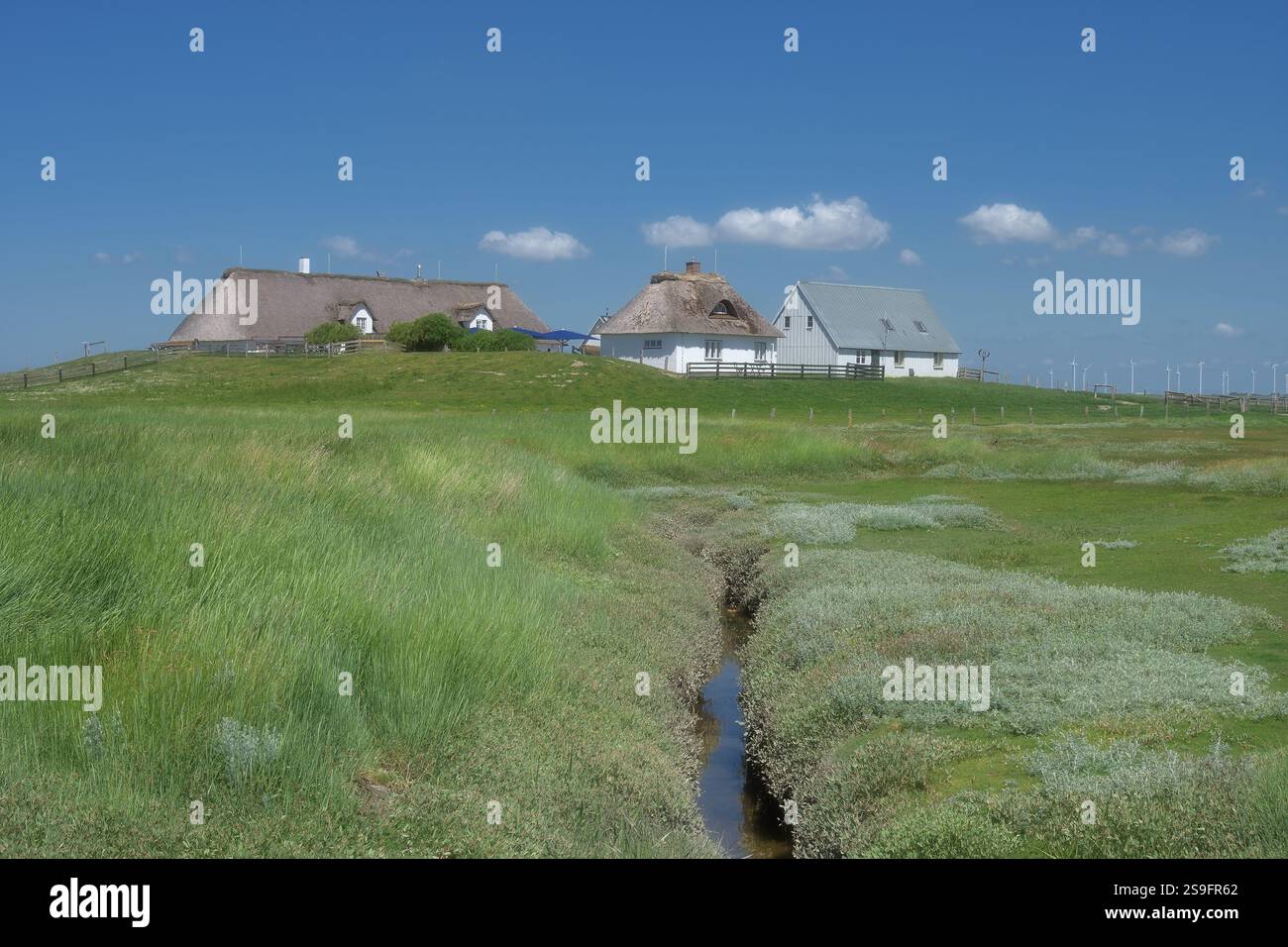 Hamburger Hallig or Hamburg Hallig or Hamburg Holm,North Sea,North Frisia,Germany Stock Photo