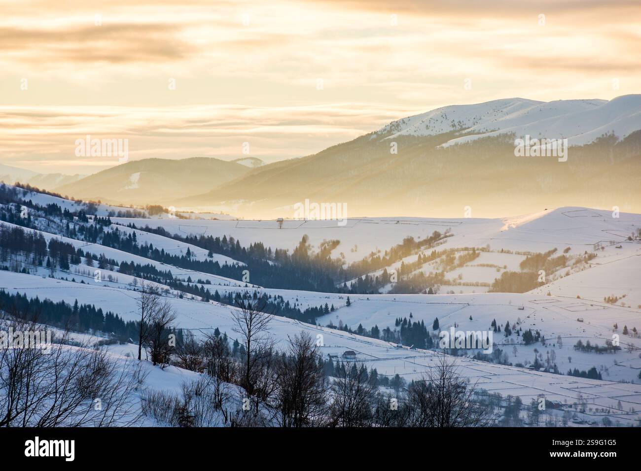 mountainous countryside landscape in winter at dawn. remote recreation background. snow covered slopes and forested hillsides of transcarpathia, ukrai Stock Photo