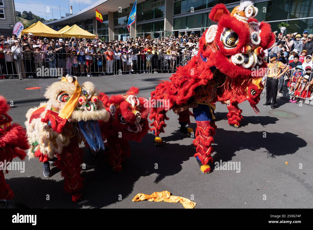 chinese new year lion dance performance