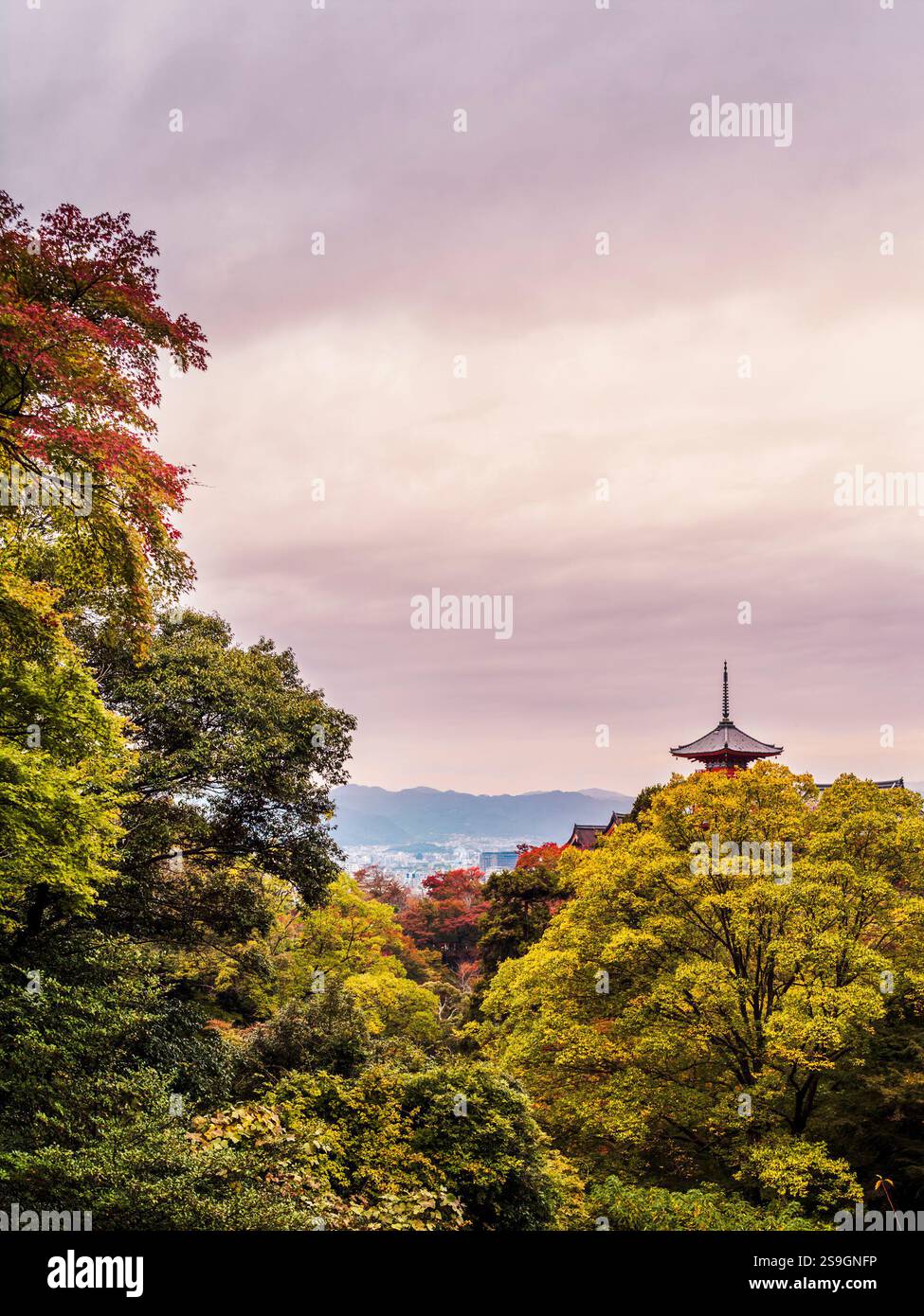 The Koyasu pagoda of the Kiyomizu-dera temple complex emerging from the ...