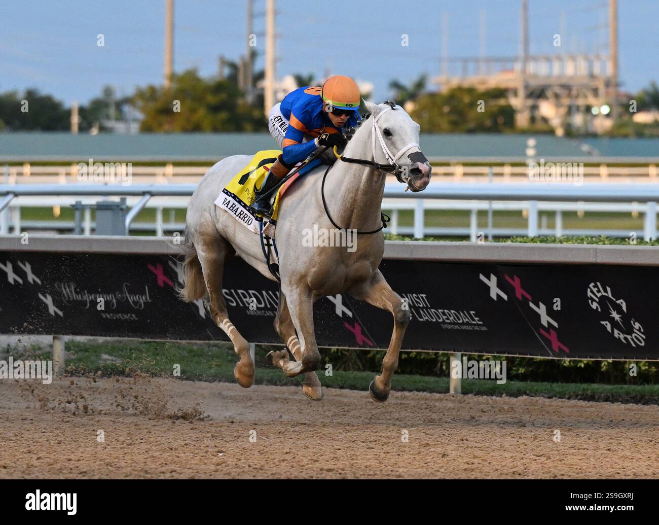 HALLANDALE, FL JANUARY 25 Jockey Irad Ortiz Jr. crosses the finish