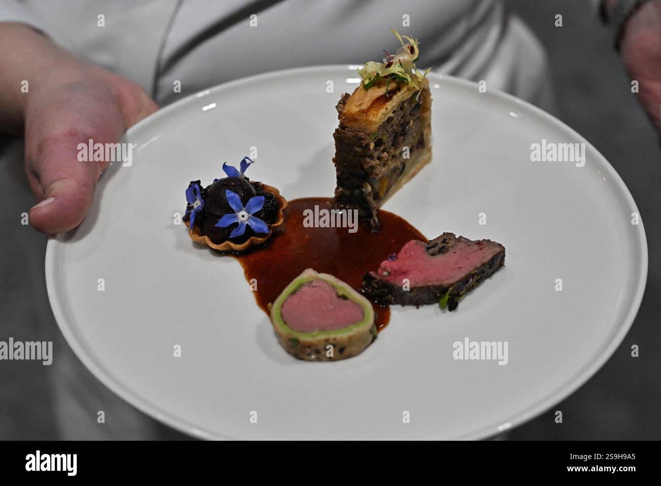 Bocuse D Or Finale ahead of SIRHA in Lyon, France on January 26, 2025