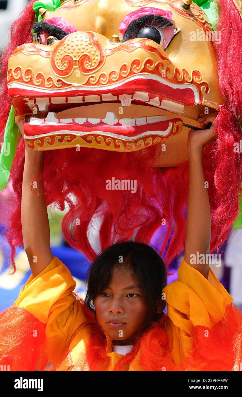 22 jan 2025 chinese new year
