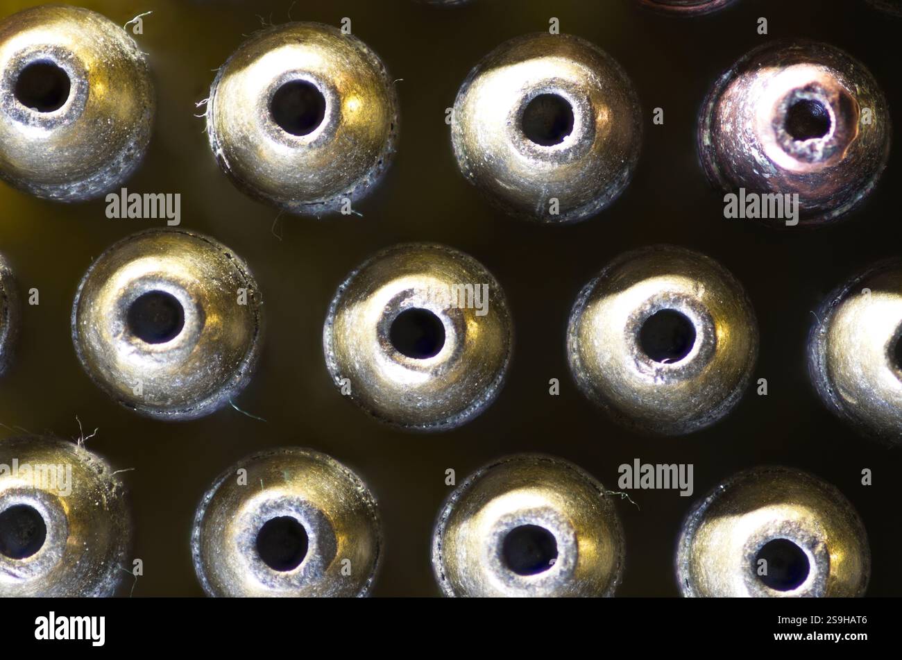 Overhead view of the bullet end of 22 caliber hollow point rounds Stock ...