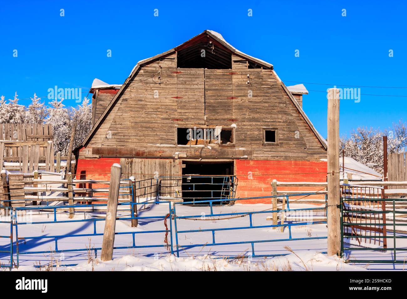Old rustic red barn in a winter wonderland Stock Photo - Alamy