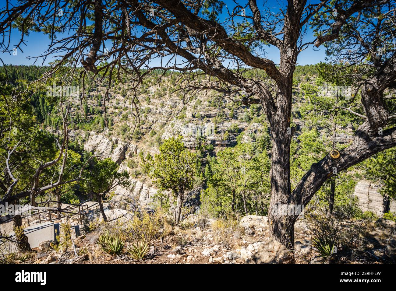 View from the Island Trail at Walnut Canyon National Monument. The Island Trail drops down 240 concrete steps into the depths of Walnut Canyon, where Stock Photo