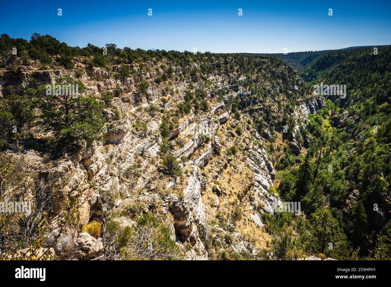 View from the Island Trail at Walnut Canyon National Monument. The Island Trail drops down 240 concrete steps into the depths of Walnut Canyon, where Stock Photo